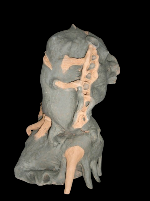 skin7-a